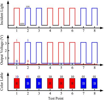 Brain inspired optoelectronic integrated receiver chip for wireless optical communication